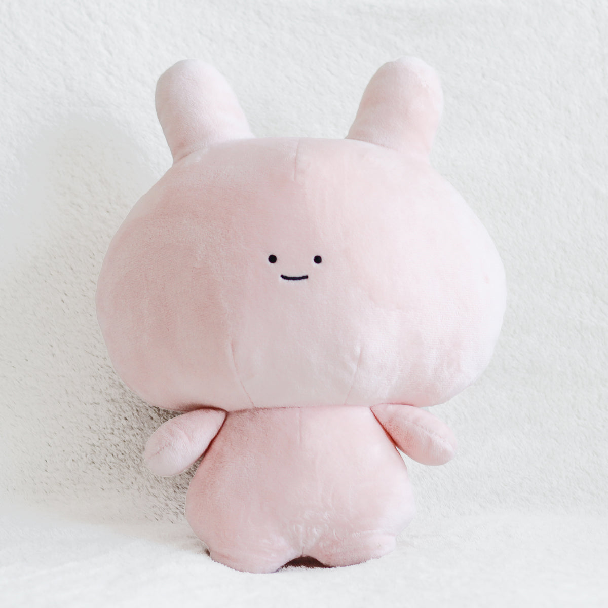 【あさみみちゃん】あさみみちゃん&あねみみちゃん30cmぬいぐるみセット【数量限定】