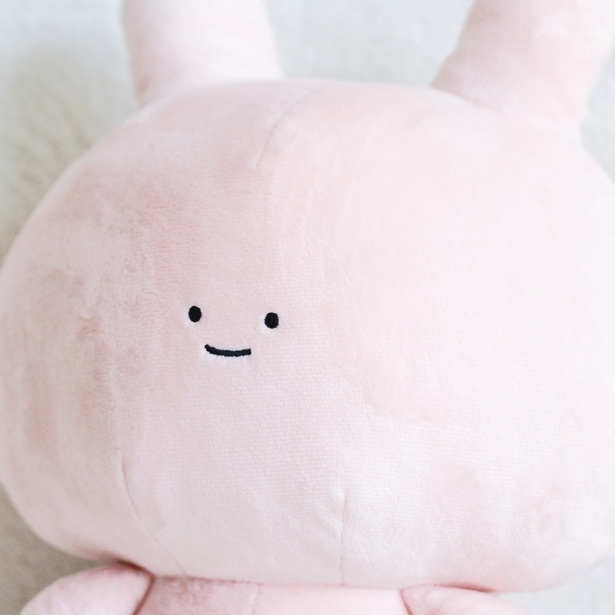 【あさみみちゃん】あさみみちゃん&あねみみちゃん30cmぬいぐるみセット【数量限定】
