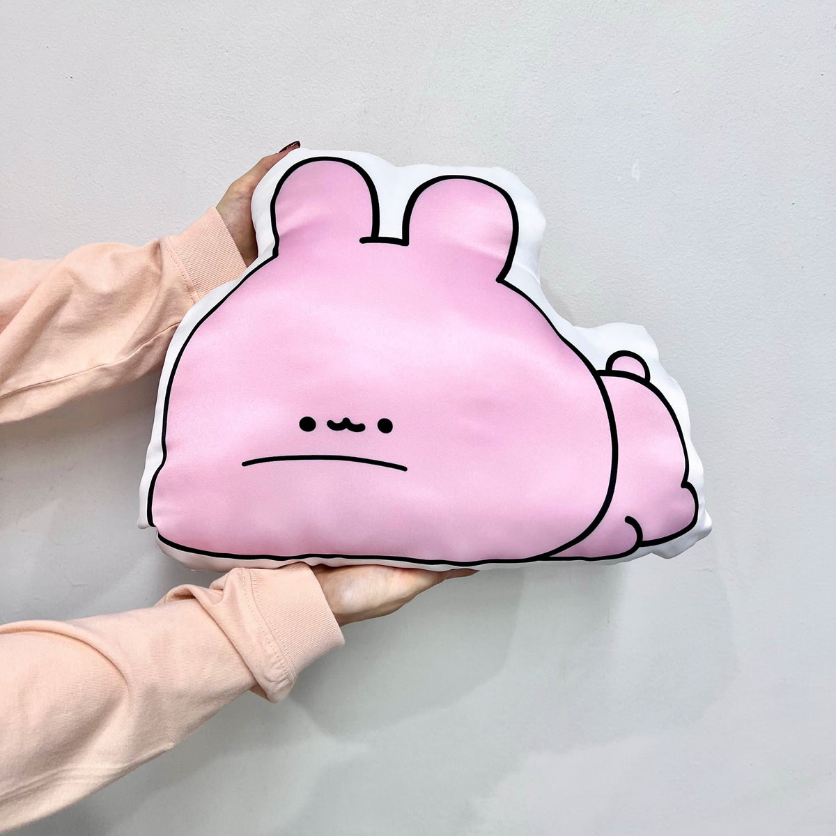 【あさみみちゃん】だらむに♡裏表ダイカットクッション