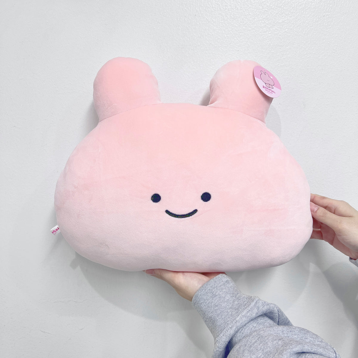 【あさみみちゃん】フェイスクッション