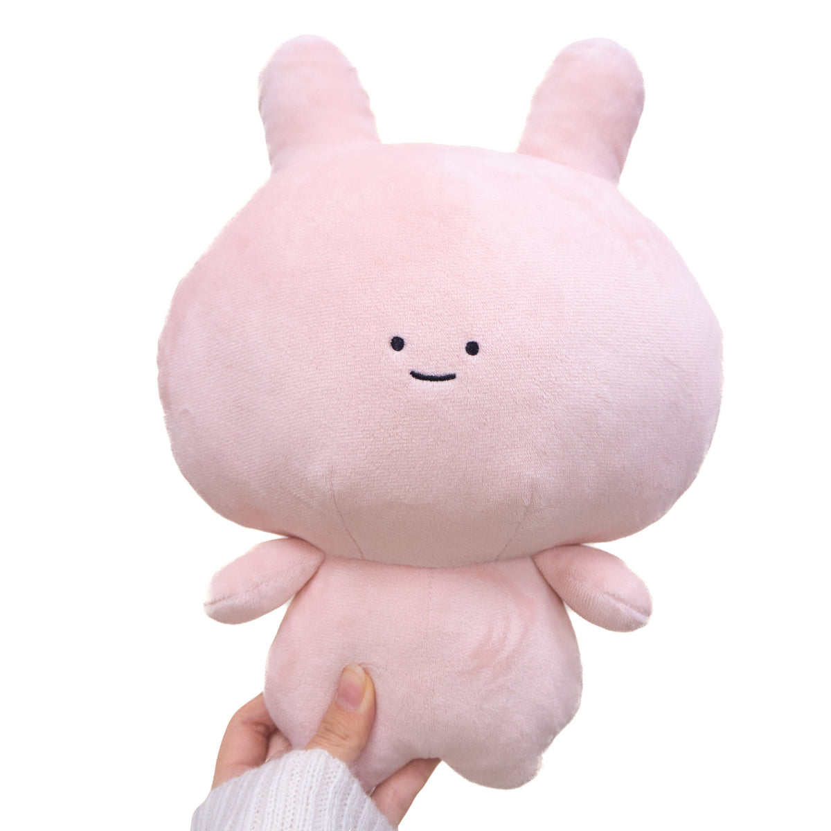 【あさみみちゃん】あさみみぬいぐるみ30cm&ぬいぐるみキーホルダーセット