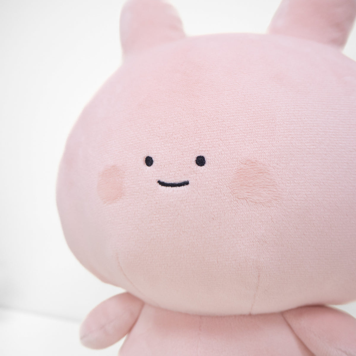 【あさみみちゃん】あさみみぬいぐるみ30cm&ぬいぐるみキーホルダーセット