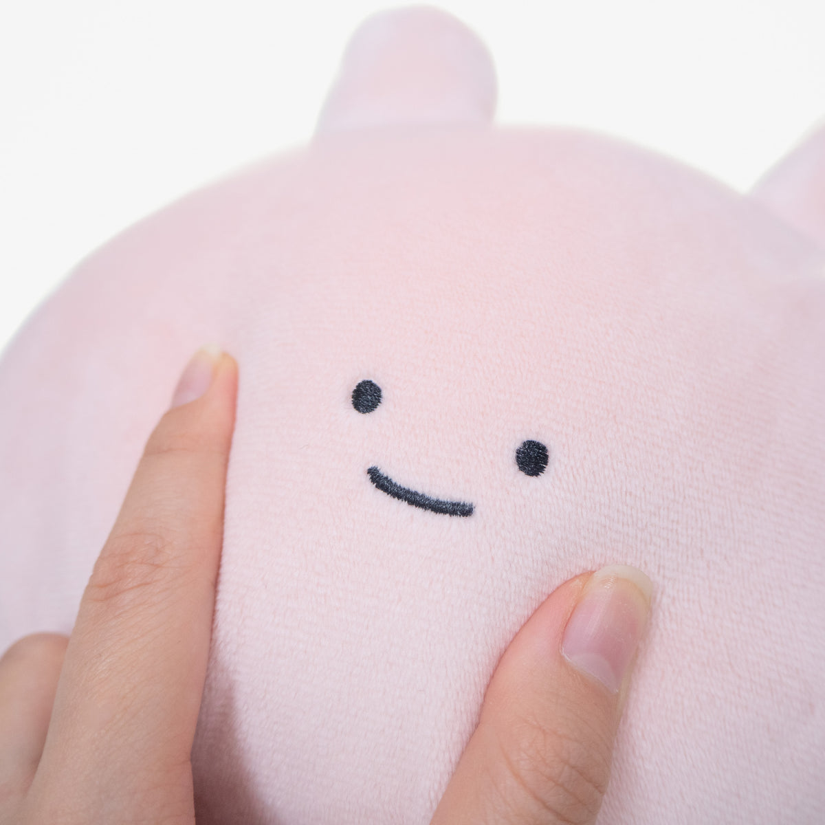 【あさみみちゃん】あさみみちゃん&あねみみちゃん30cmぬいぐるみセット【数量限定】