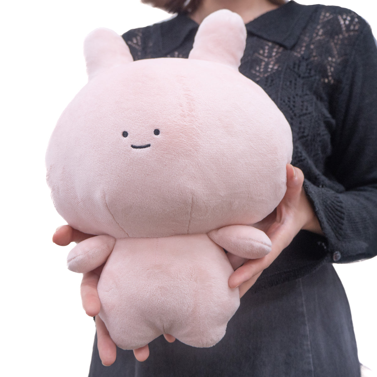 【あさみみちゃん】あさみみちゃん&あねみみちゃん30cmぬいぐるみセット【数量限定】