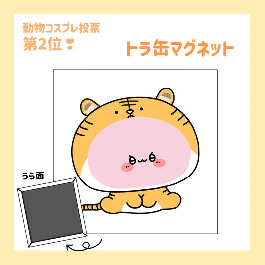 [Asamimi-chan] Quadratischer Tiger-Dosenmagnet (ASAMIMI BASIC 2023 Oktober) [Versand Mitte Dezember]