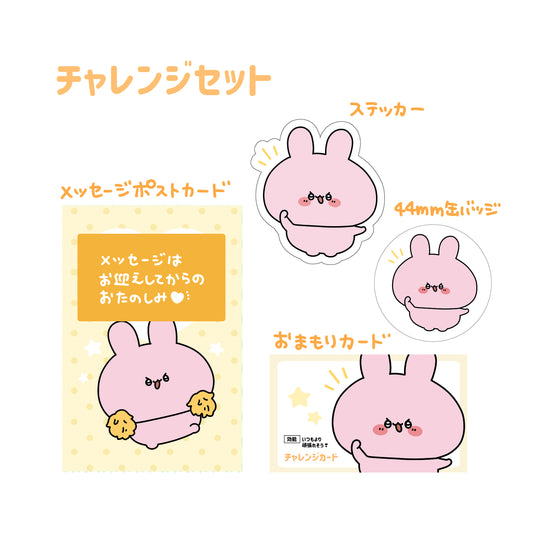 【あさみみちゃん】数量限定❣️チャレンジセット