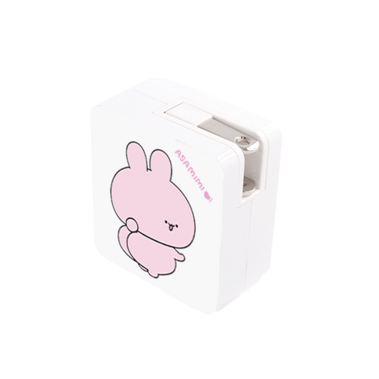 【あさみみちゃん】ACアダプタ（USB＋Type-C）【2月中旬発送】