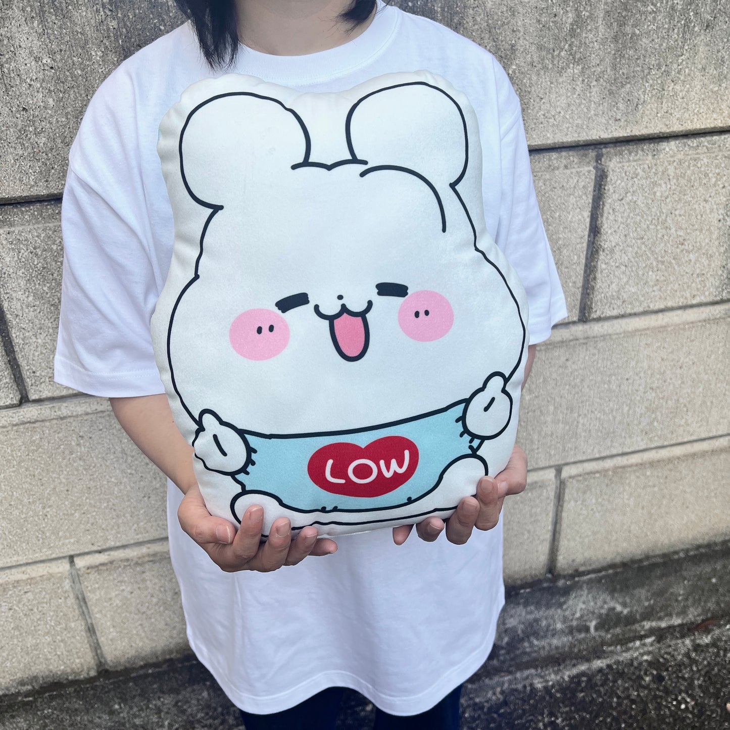 【ロイト】ビッグクッション【7月下旬発送】