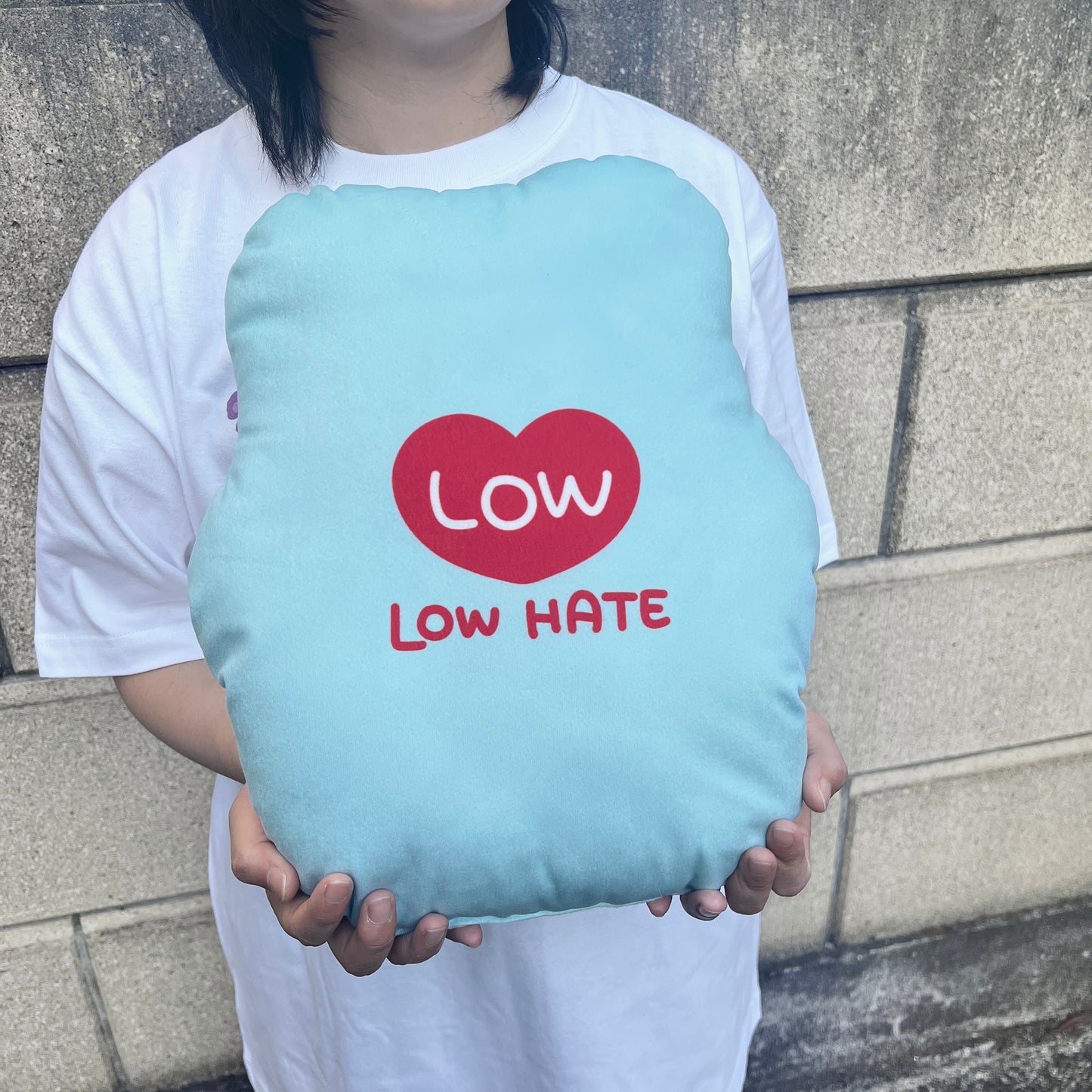 【ロイト】ビッグクッション【7月下旬発送】
