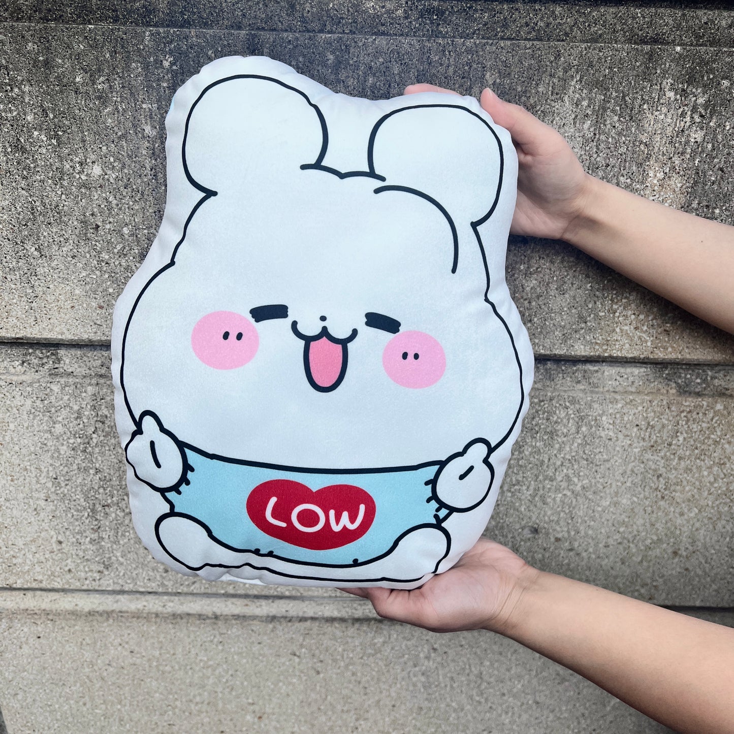 【ロイト】ビッグクッション【7月下旬発送】
