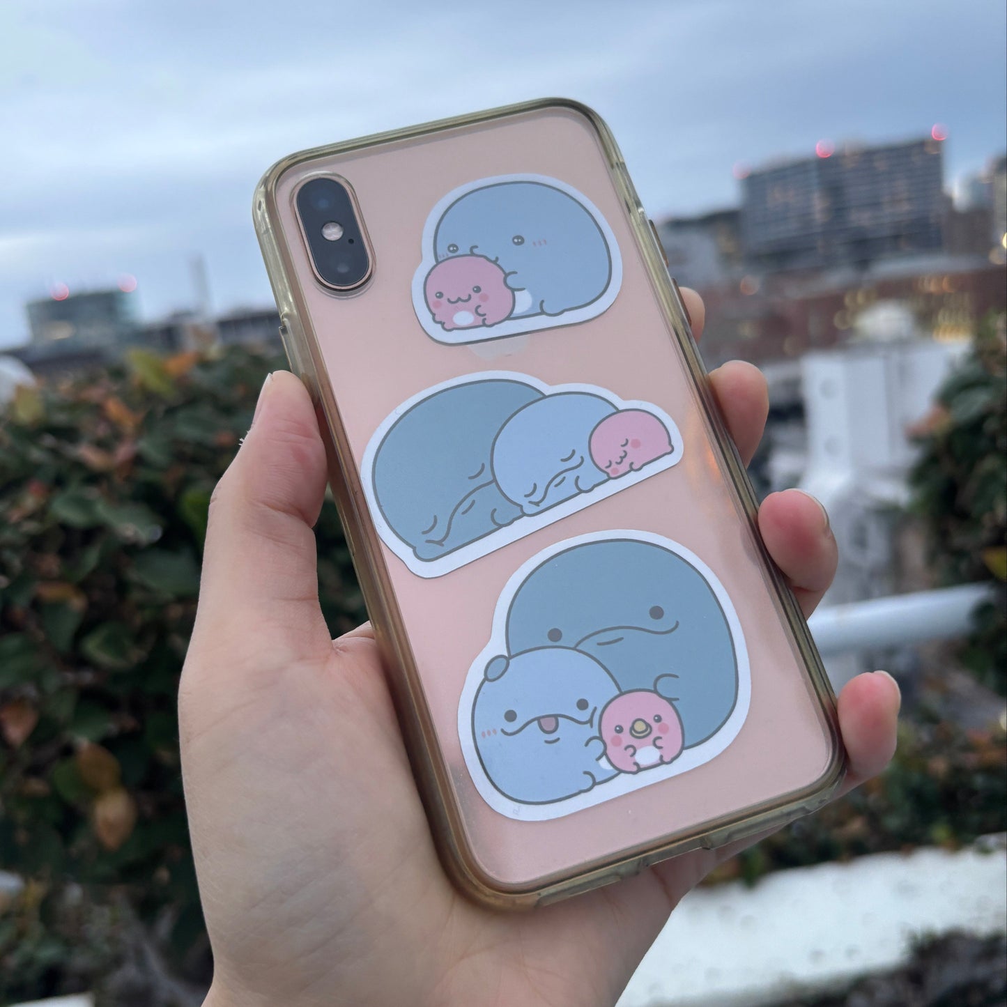 【親子イルカ】ステッカーセット（3枚入り）【12月中旬発送】