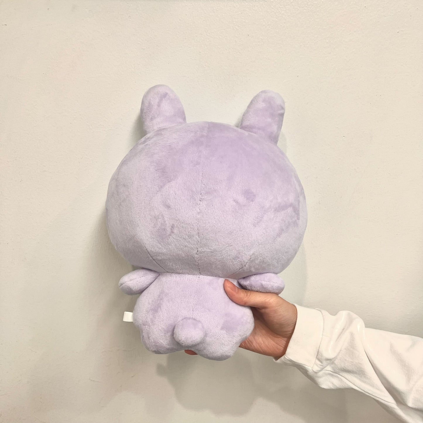 [Asamimi-chan] Anemimi-chan 毛絨玩具 30 公分（ANEMIMI 生日快樂🐰💜）