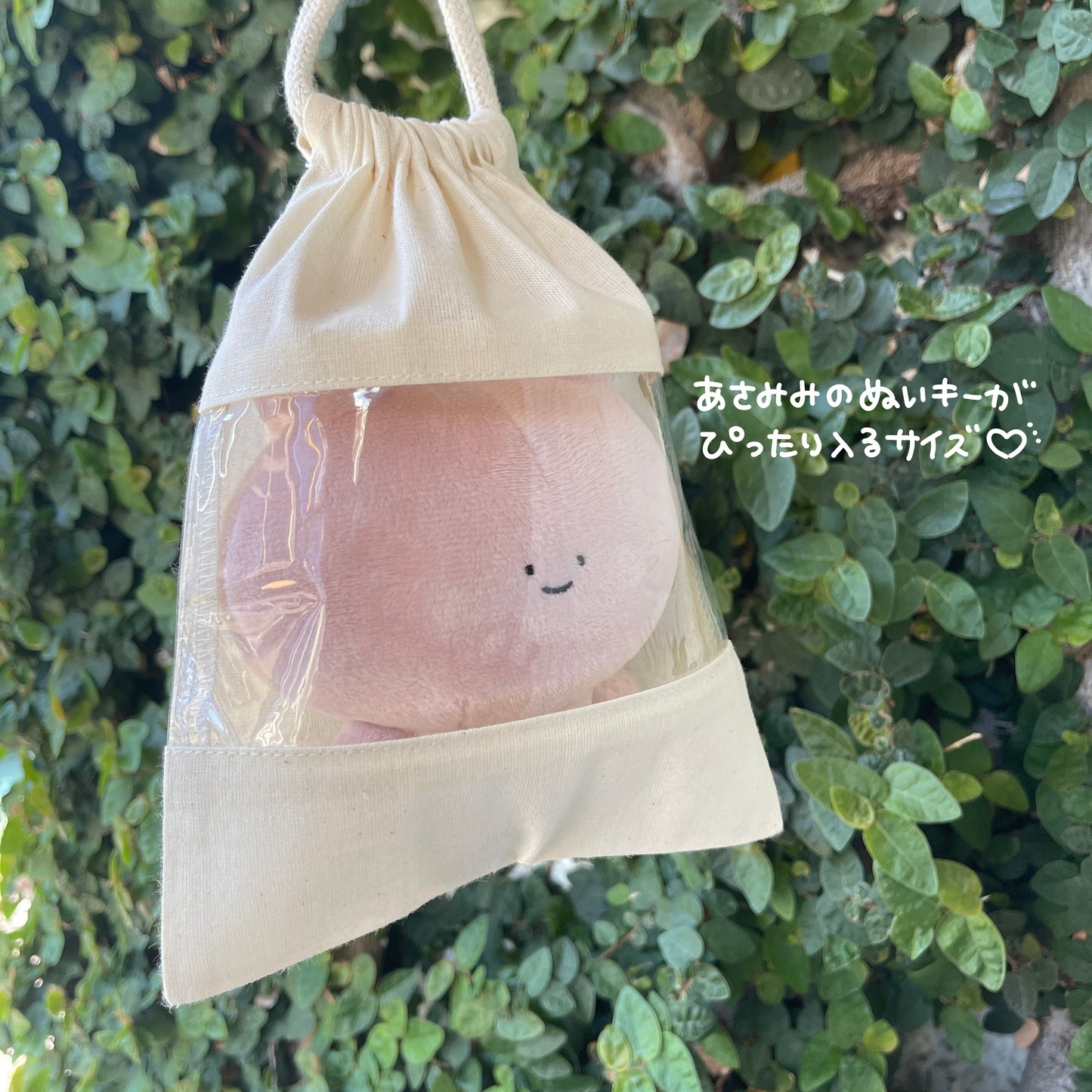 [ASAMIMI-CHAN] Tasche mit Sichtfenster (ASAMIMI BASIC 2024 APRIL).