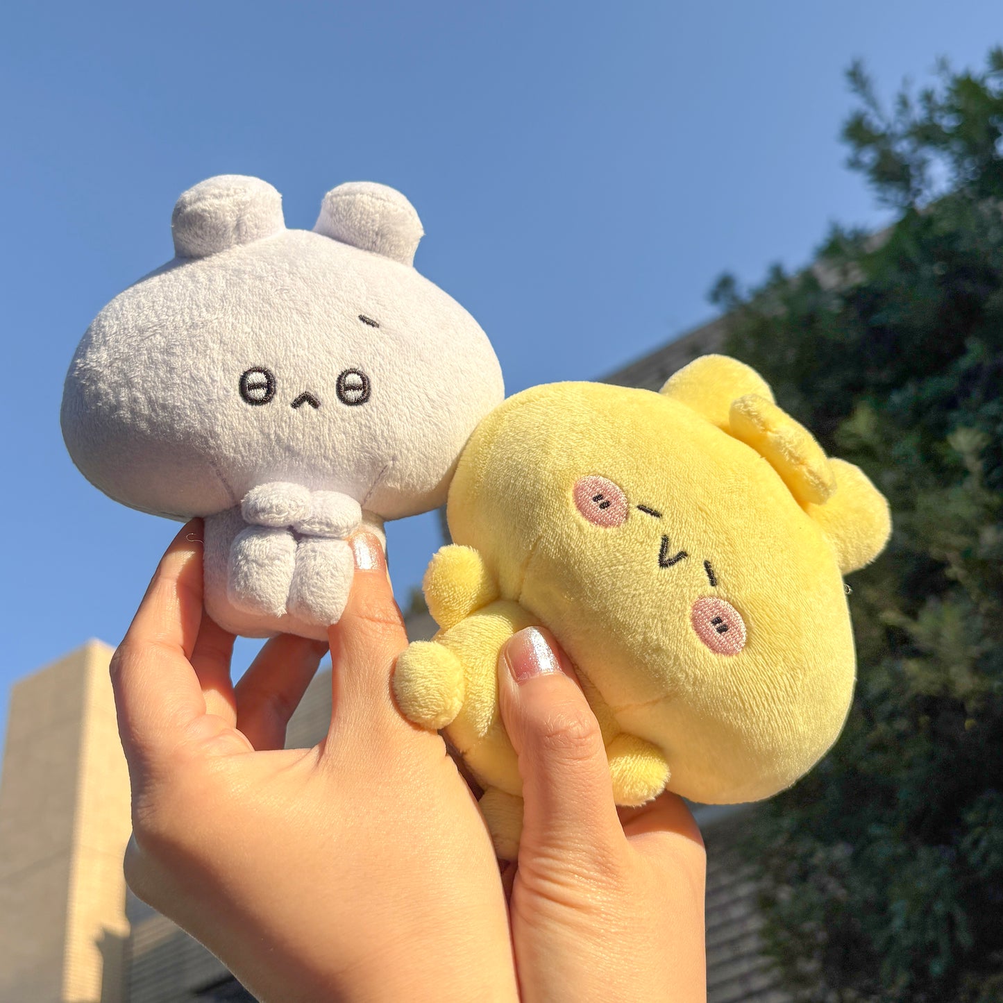 【あさみみちゃん】しあわせ&ふあんセット