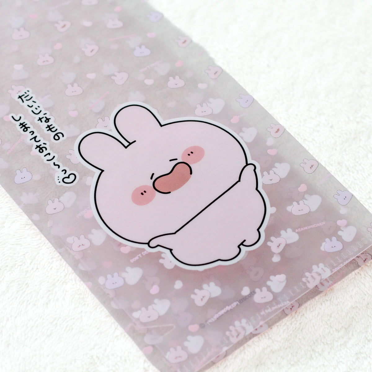[ASAMIMICHAN] Store your precious things♪Slim Clear File [Shipping in late-November]