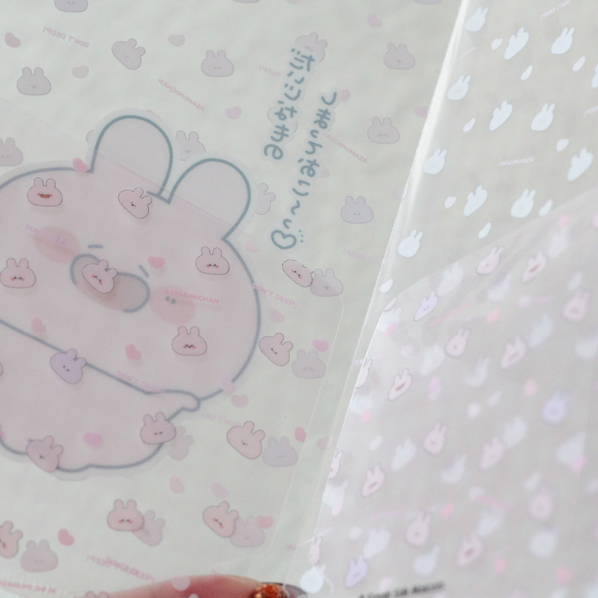 [ASAMIMICHAN] Store your precious things♪Slim Clear File [Shipping in late-November]