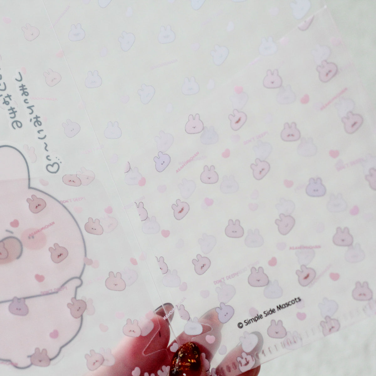 [ASAMIMICHAN] Store your precious things♪Slim Clear File [Shipping in late-November]