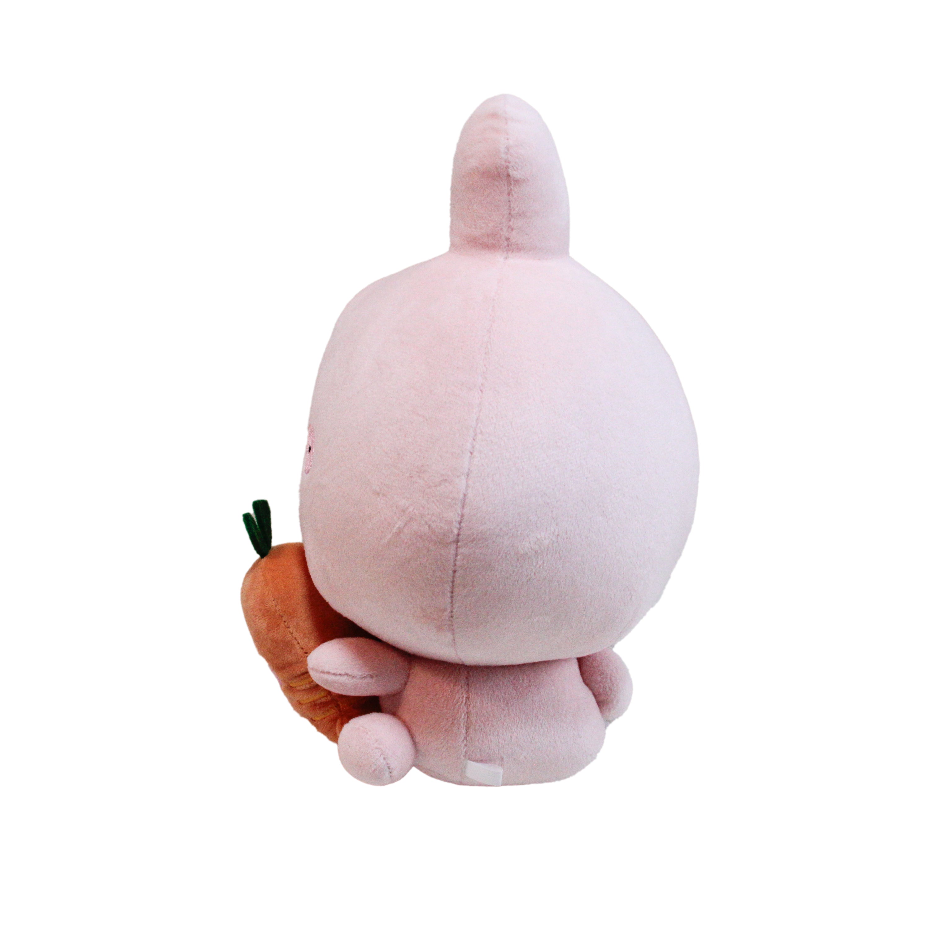 新品　プロミスマスコットエージェンシー　LPセット jp.ktown4u.com : RIIZE - [2026 SM ARTIST SEASON'S GREETINGS MD