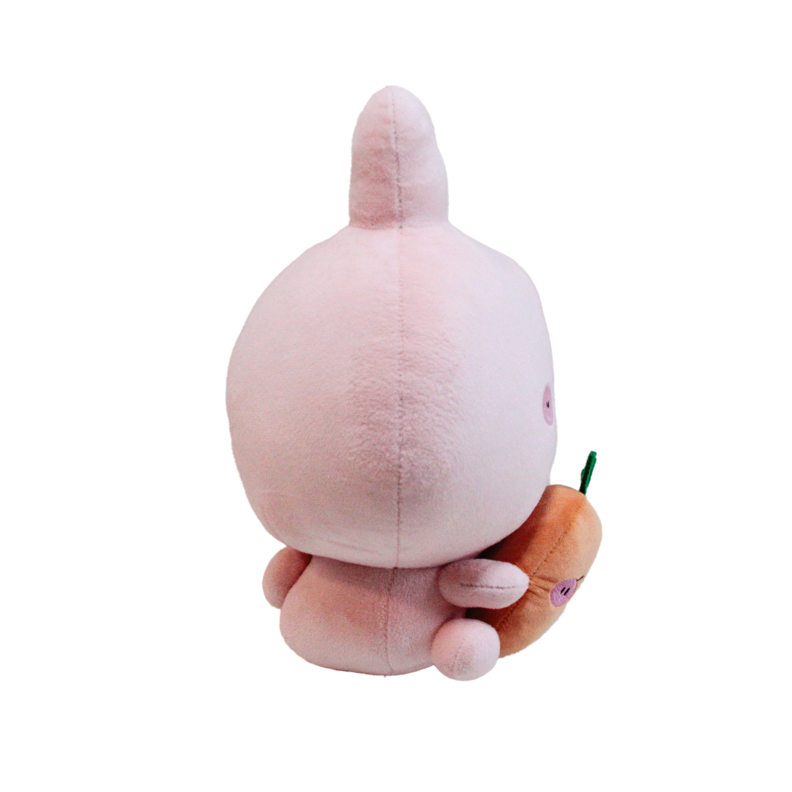 あさみみちゃん】あさみみちゃんとにんじんちゃんぬいぐるみ30cm