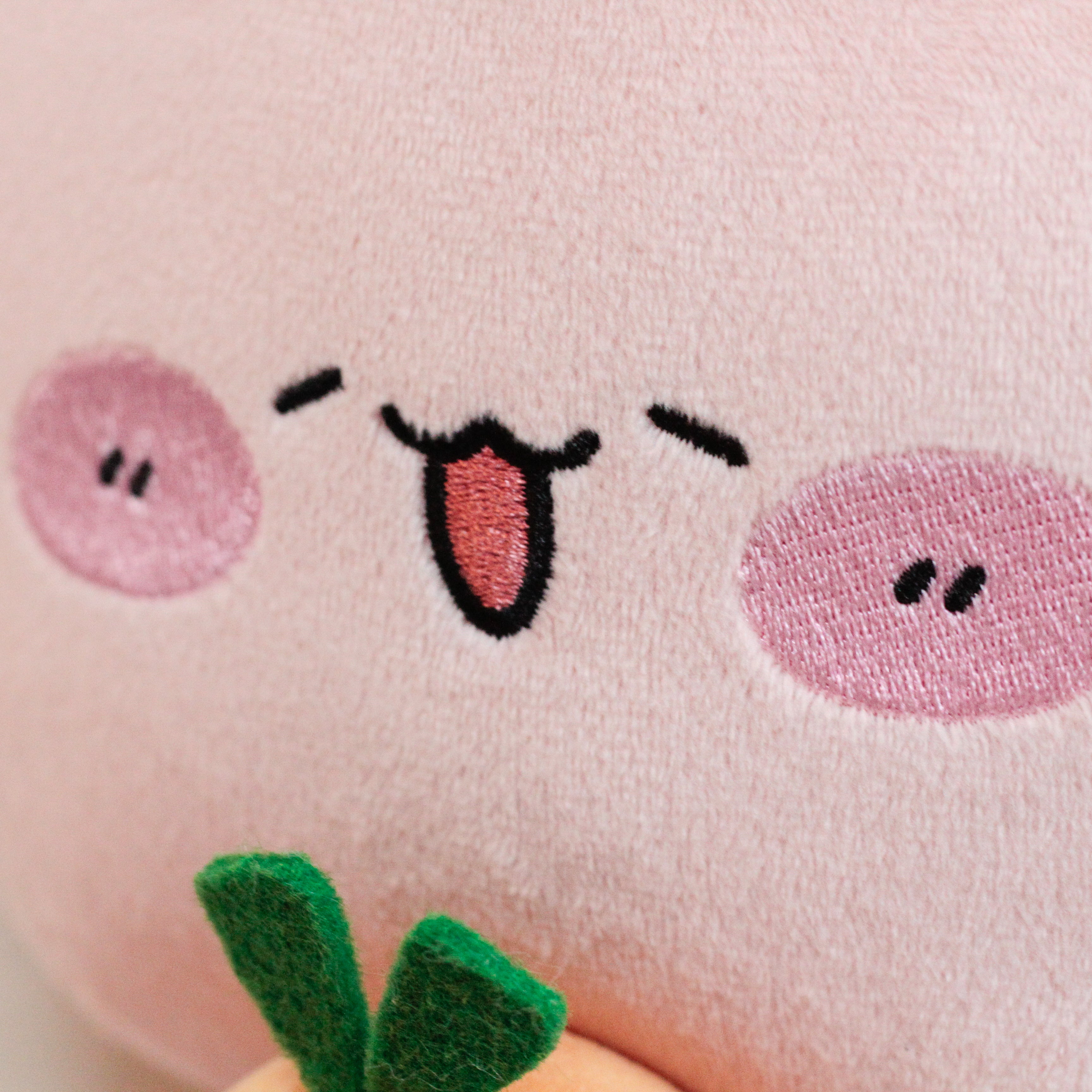 あさみみちゃん】あさみみちゃんとにんじんちゃんぬいぐるみ30cm