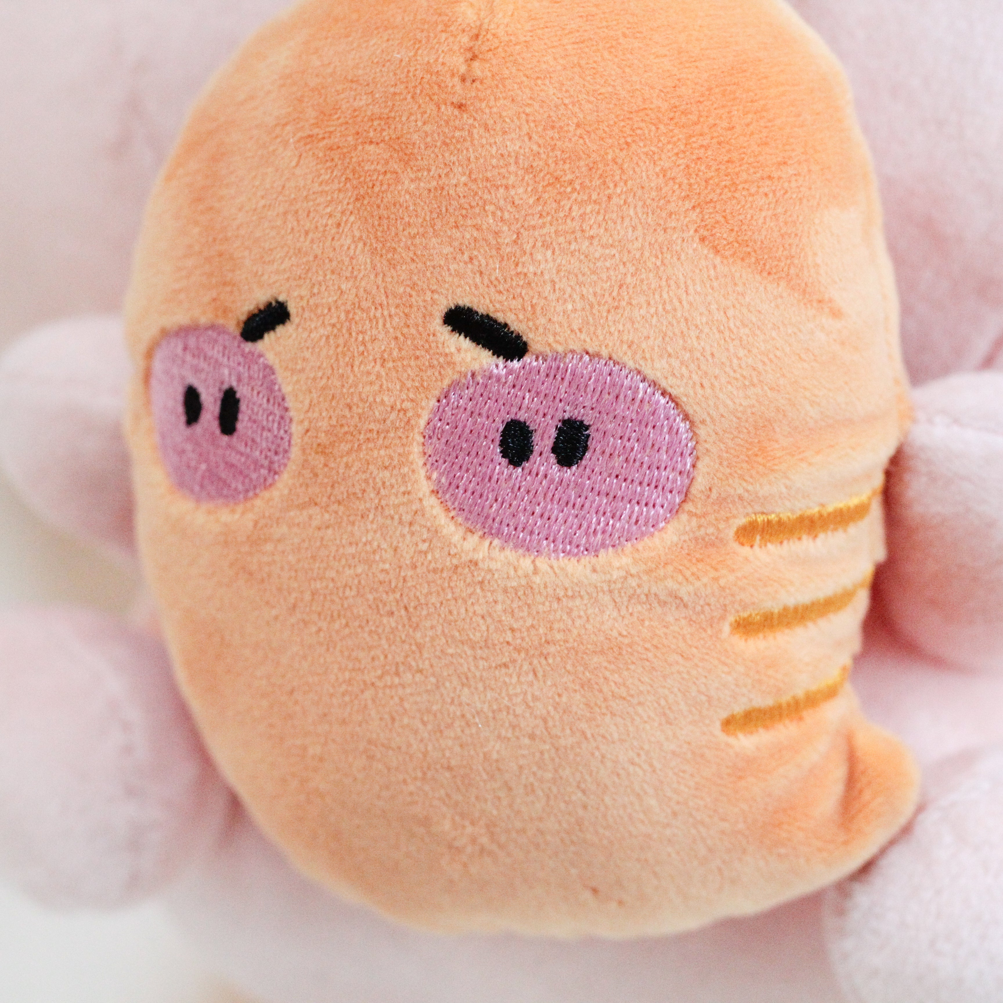 あさみみちゃん】あさみみちゃんとにんじんちゃんぬいぐるみ30cm