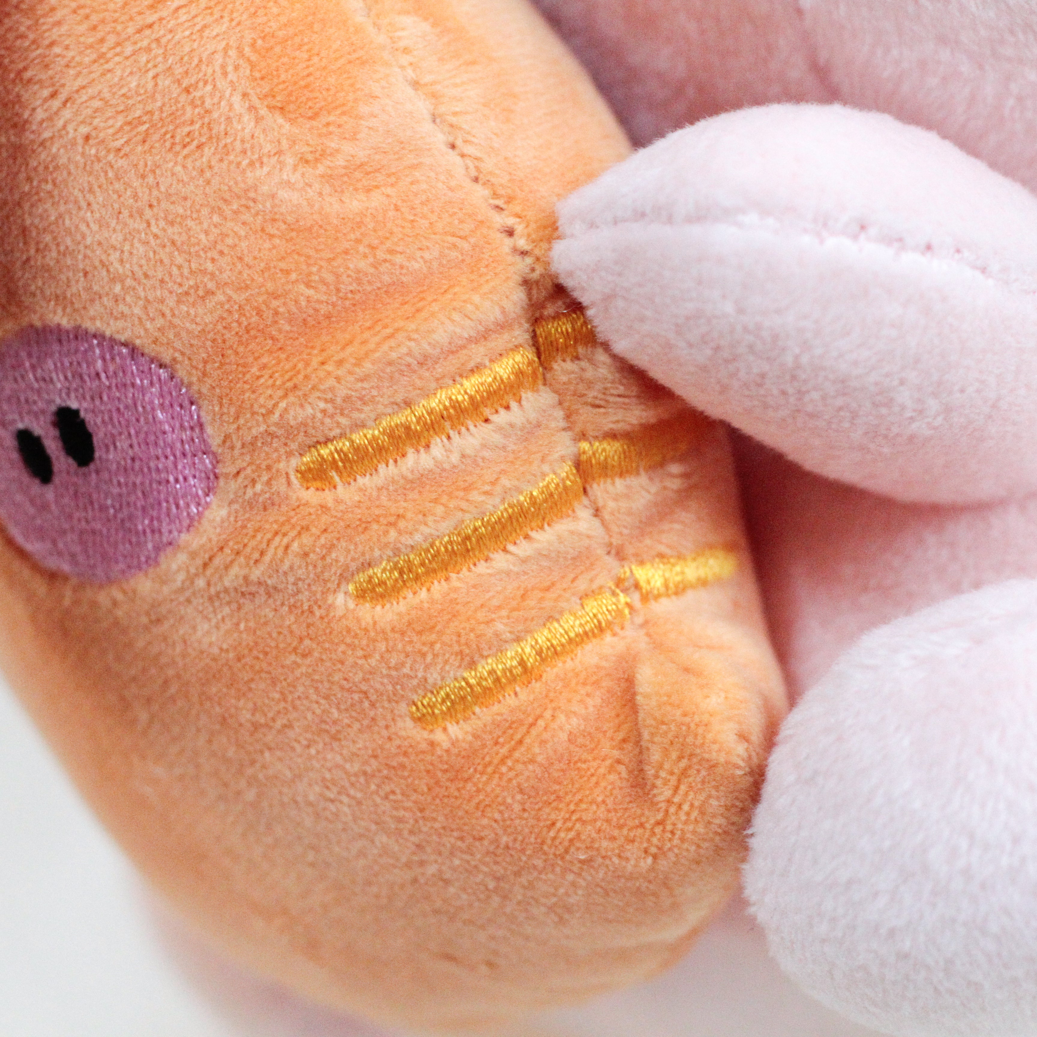 あさみみちゃん】あさみみちゃんとにんじんちゃんぬいぐるみ30cm