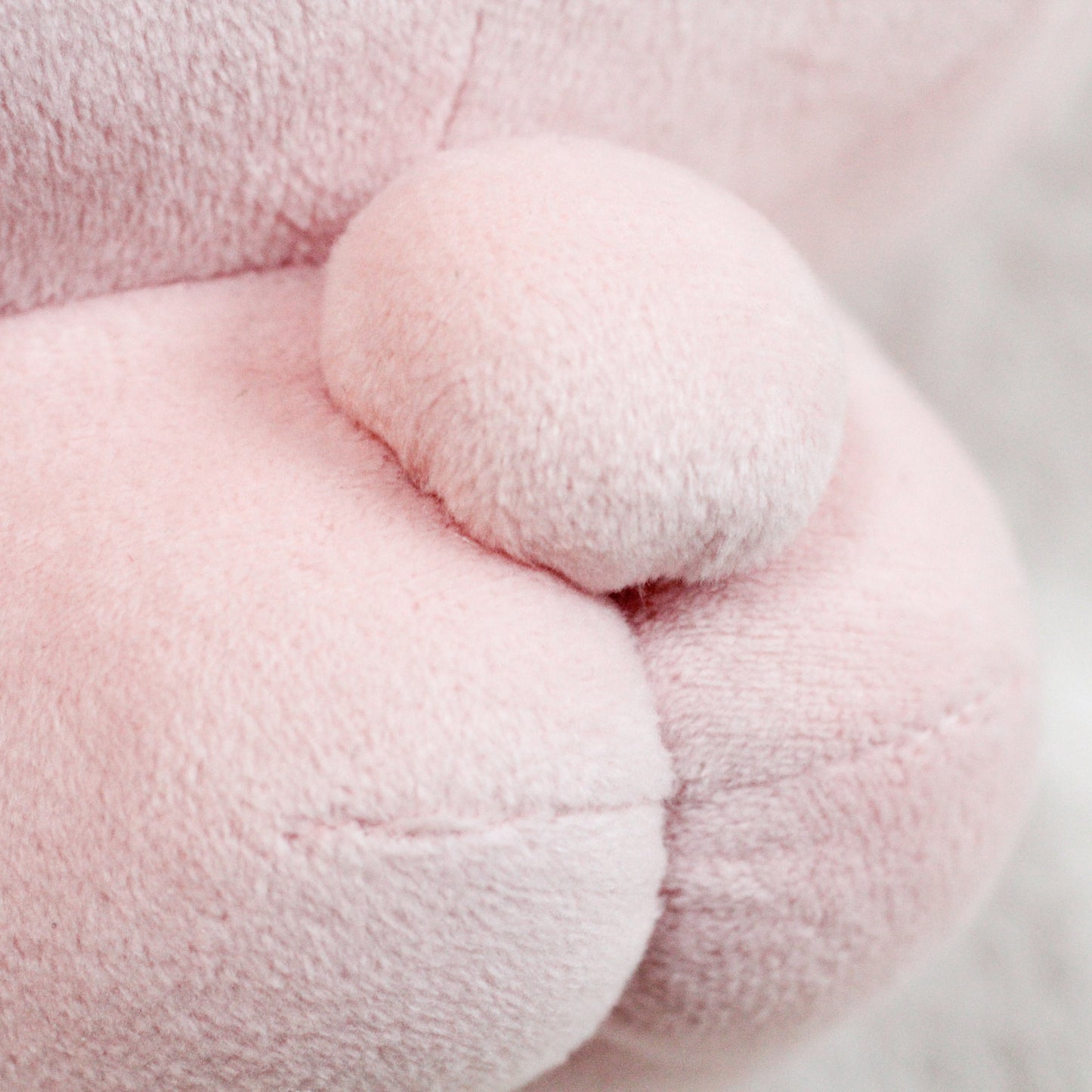 【あさみみちゃん】あさみみちゃんとにんじんちゃんぬいぐるみ30cm