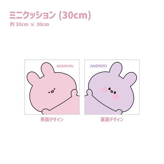 【あさみみちゃん】ミニクッション（30cm）【6月中旬発送】(ASAMIMI BASIC 2024 APRIL)