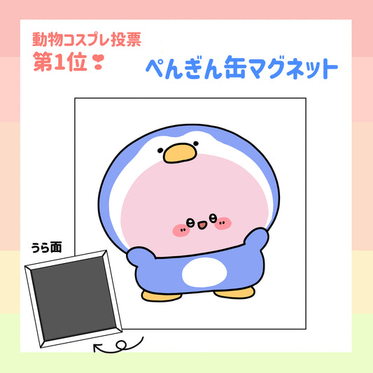[Asamimi-chan] 企鵝方形罐頭磁鐵 (ASAMIMI BASIC 2023 年 10 月) [12 月中旬發貨]