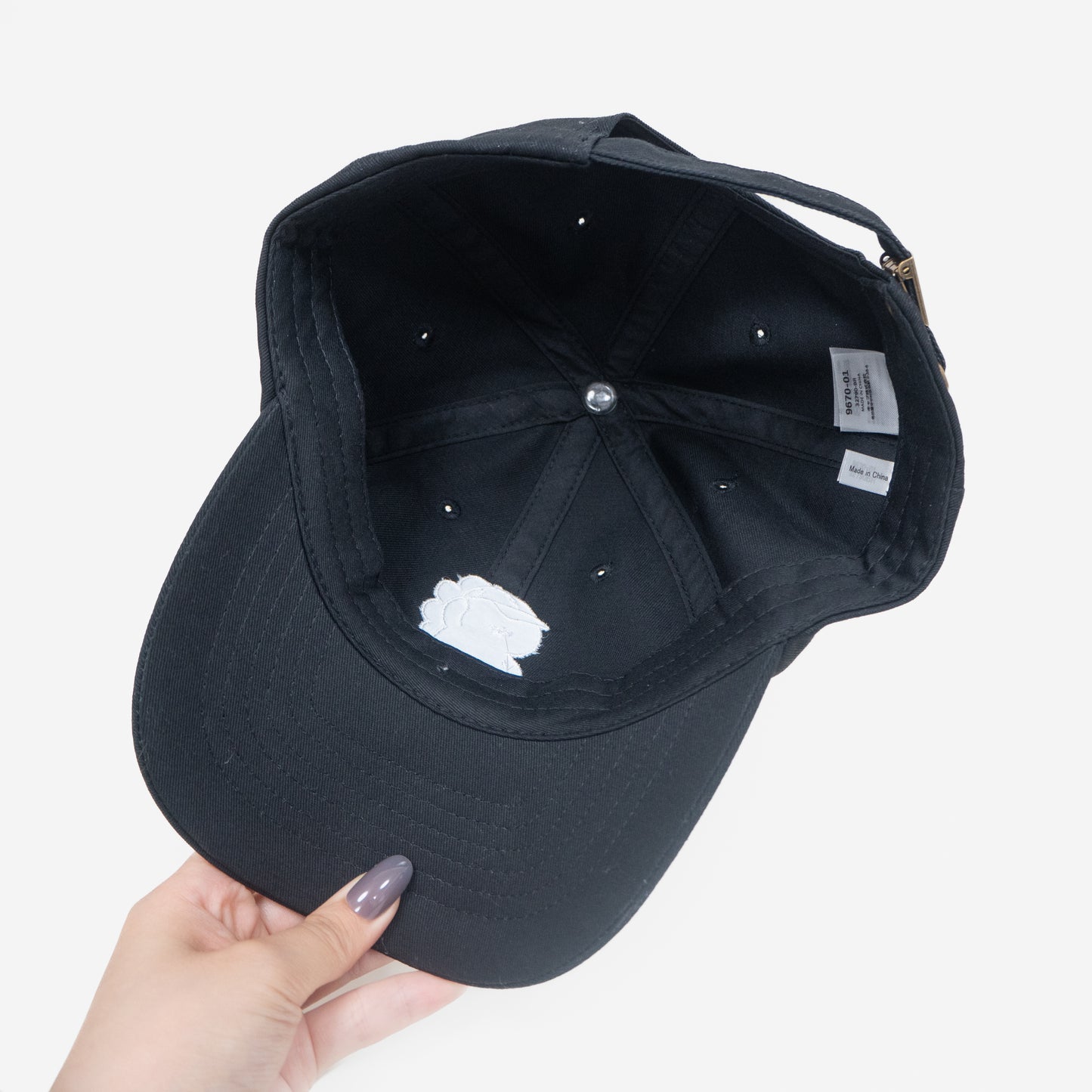 [Troublesome Zaurus] Embroidered cap [Shipped in early January]